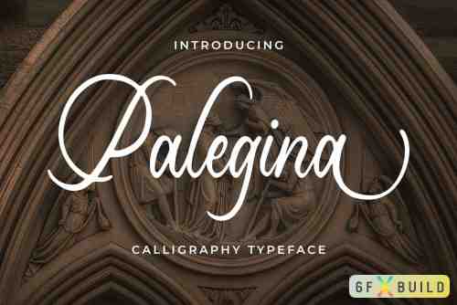 Palegina - Calligraphy Typeface