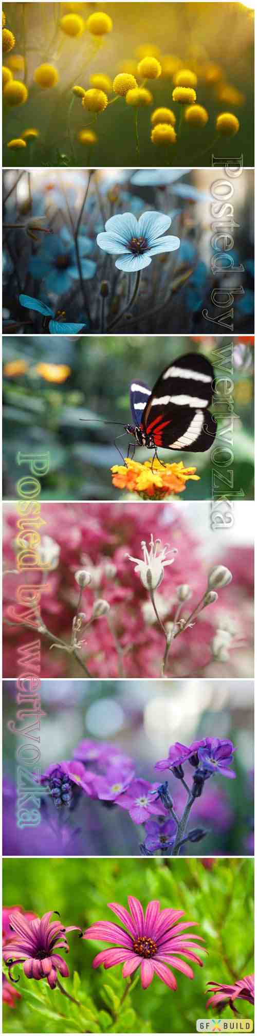 Flowers and butterflies beautiful stock photo