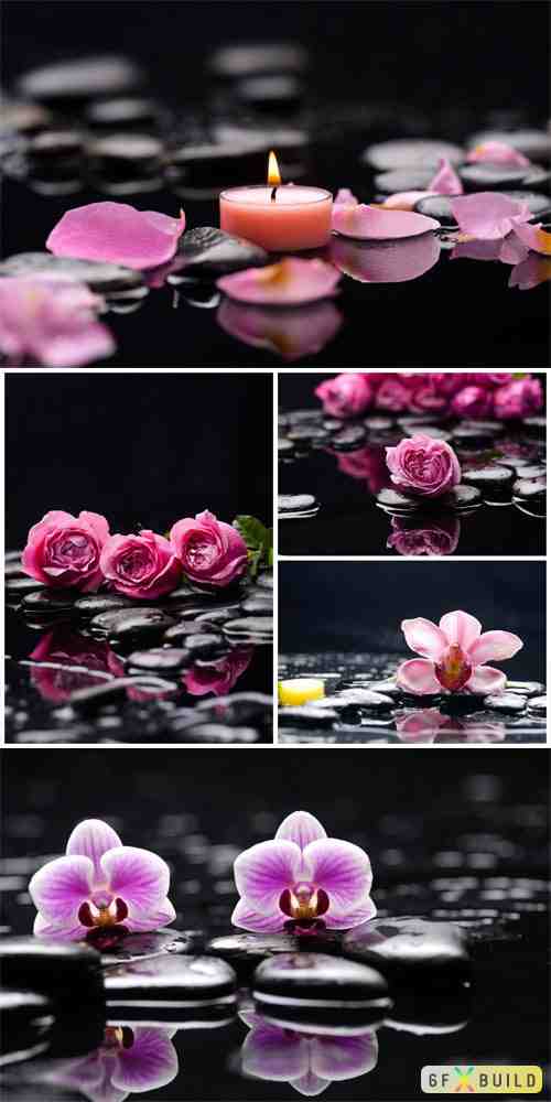 Orchid, roses and spa stones stock photo