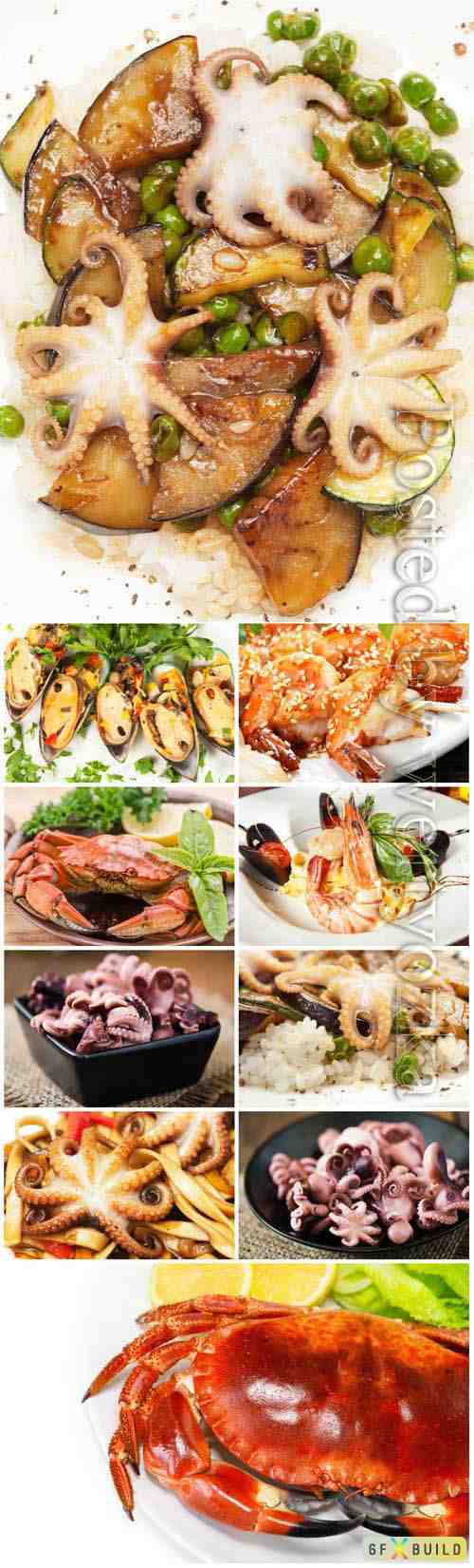 Seafood, delicious food stock photo