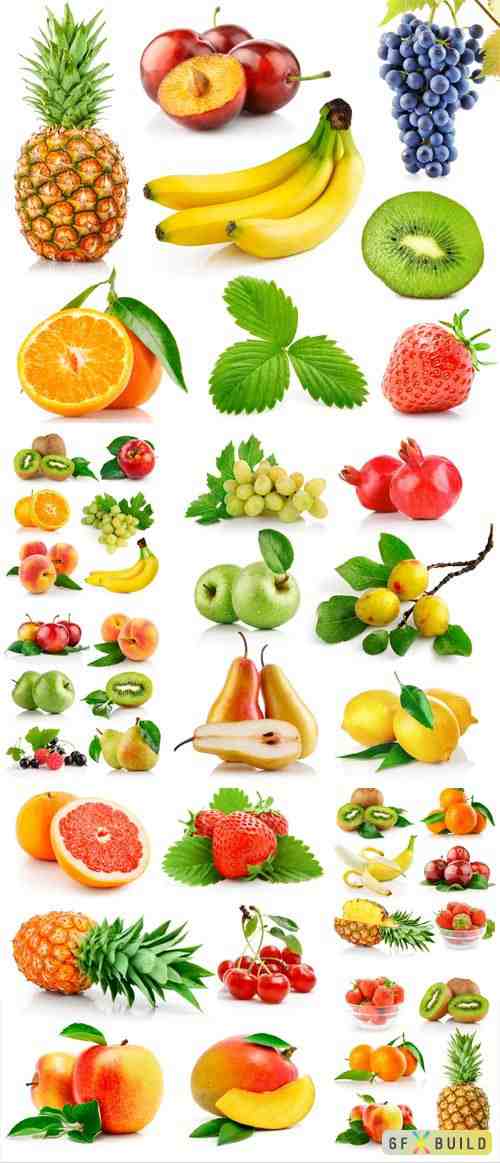 Citrus fruits and berries stock photo