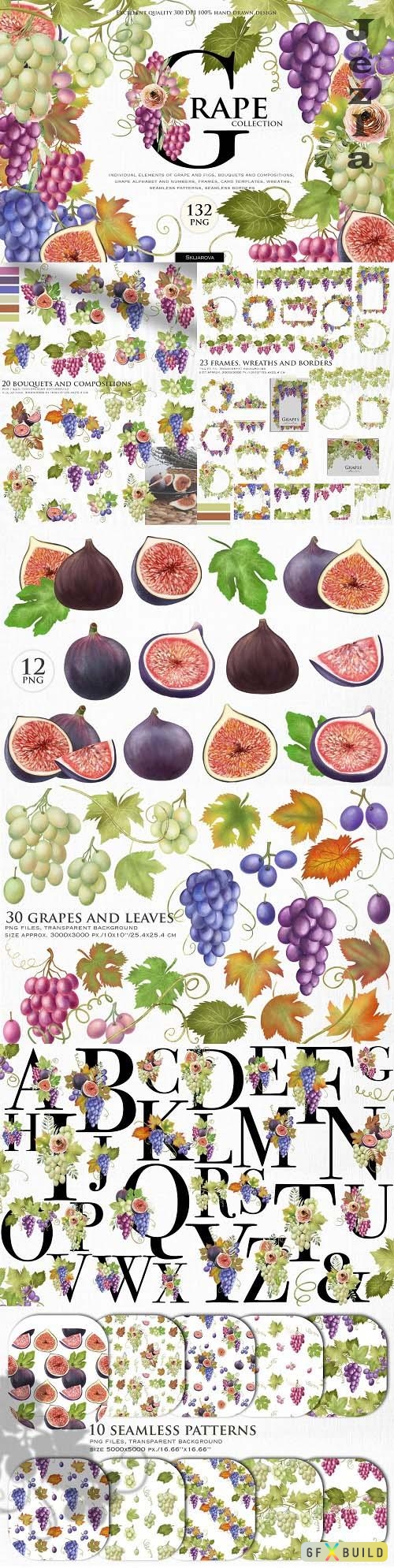Grape collection - 6260638