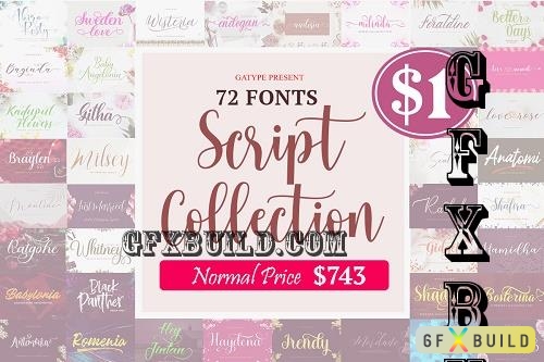The Script Collection Bundle - 55 Premium Fonts