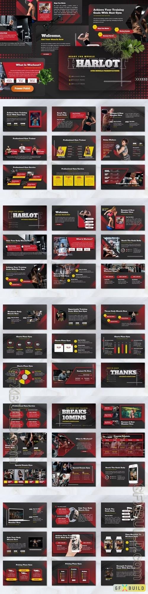Harlot - Gym Muscle Powerpoint, Keynote and Google Slides Template