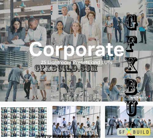 25 Corporate Lightroom Presets and LUTs - 10201910