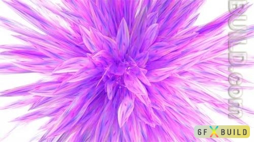 VideoHive - Pink Flower Logo Reveal 38952968