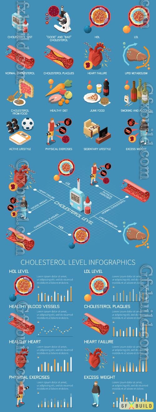 Vector cholesterol isometric icons set with hdl